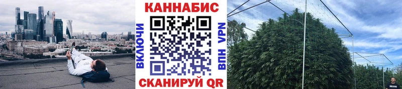 Марихуана гибрид  Каргополь 
